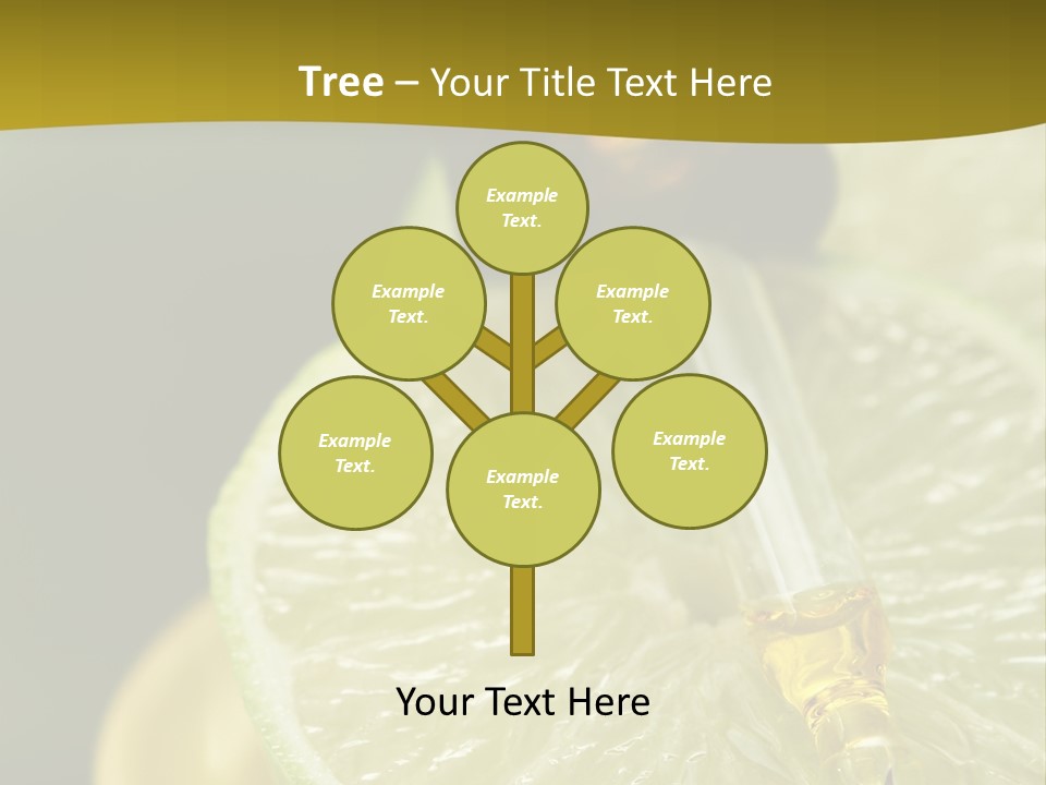 Bottle Of Essence Oil With Fresh Limes - Beauty Treatment PowerPoint Template