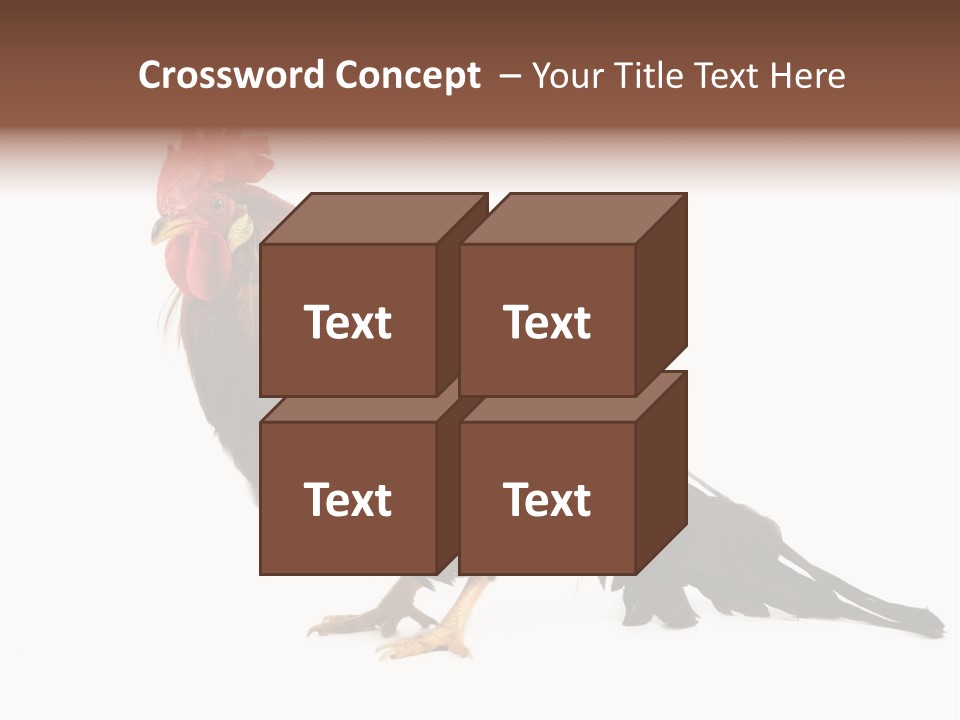 Italian Red Rooster Isolated On A White Background PowerPoint Template