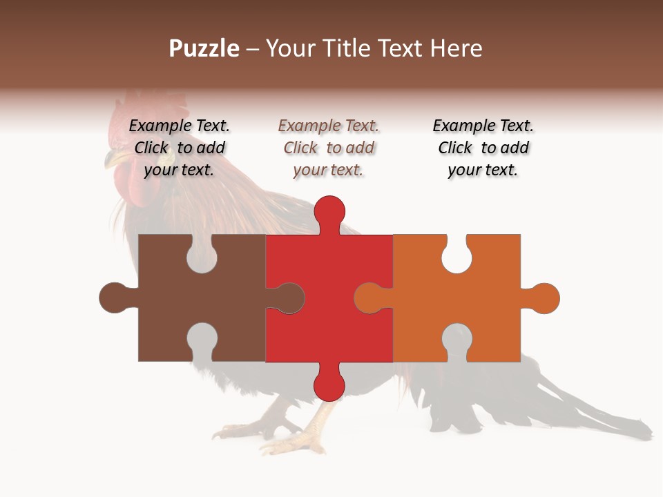 Italian Red Rooster Isolated On A White Background PowerPoint Template