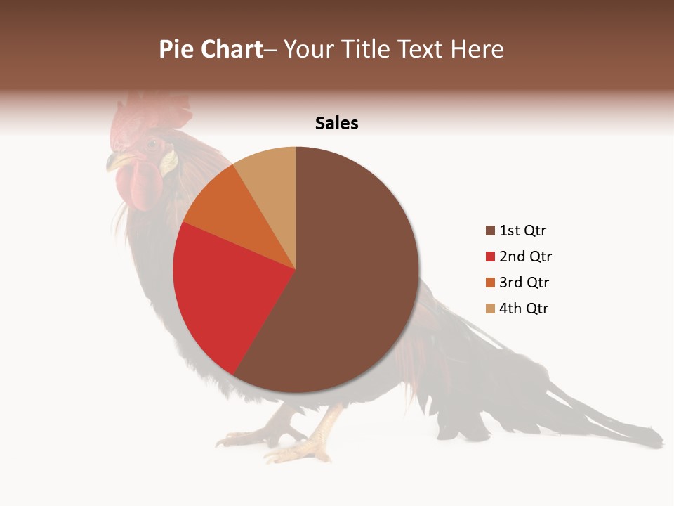 Italian Red Rooster Isolated On A White Background PowerPoint Template