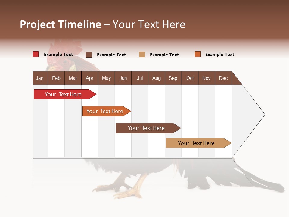 Italian Red Rooster Isolated On A White Background PowerPoint Template