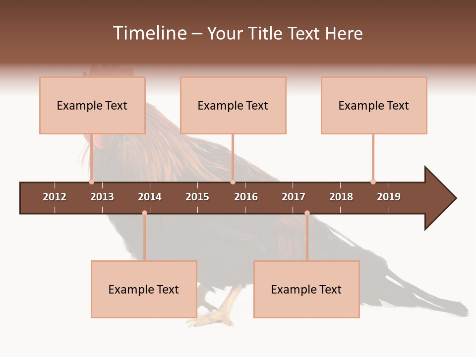 Italian Red Rooster Isolated On A White Background PowerPoint Template