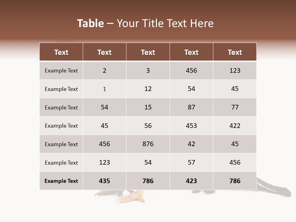 Italian Red Rooster Isolated On A White Background PowerPoint Template