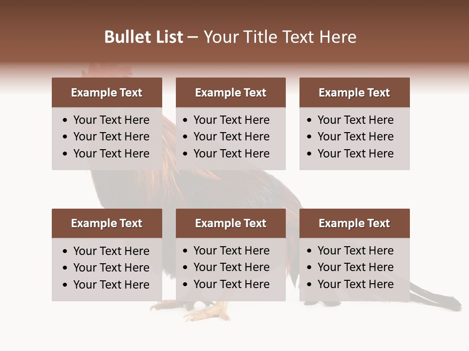 Italian Red Rooster Isolated On A White Background PowerPoint Template