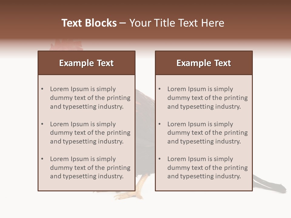 Italian Red Rooster Isolated On A White Background PowerPoint Template