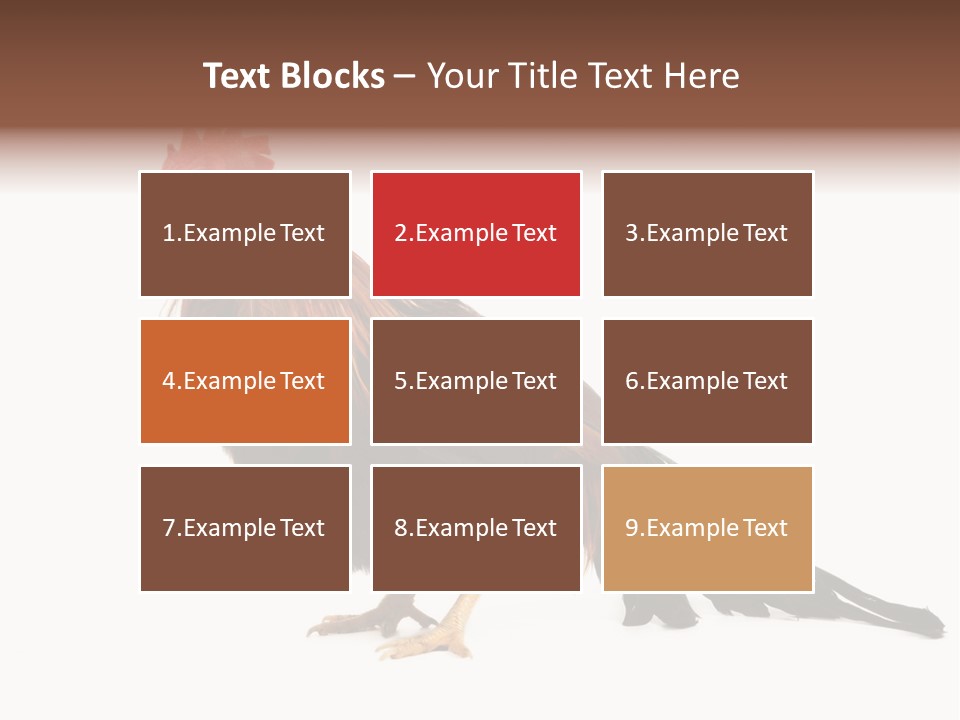 Italian Red Rooster Isolated On A White Background PowerPoint Template