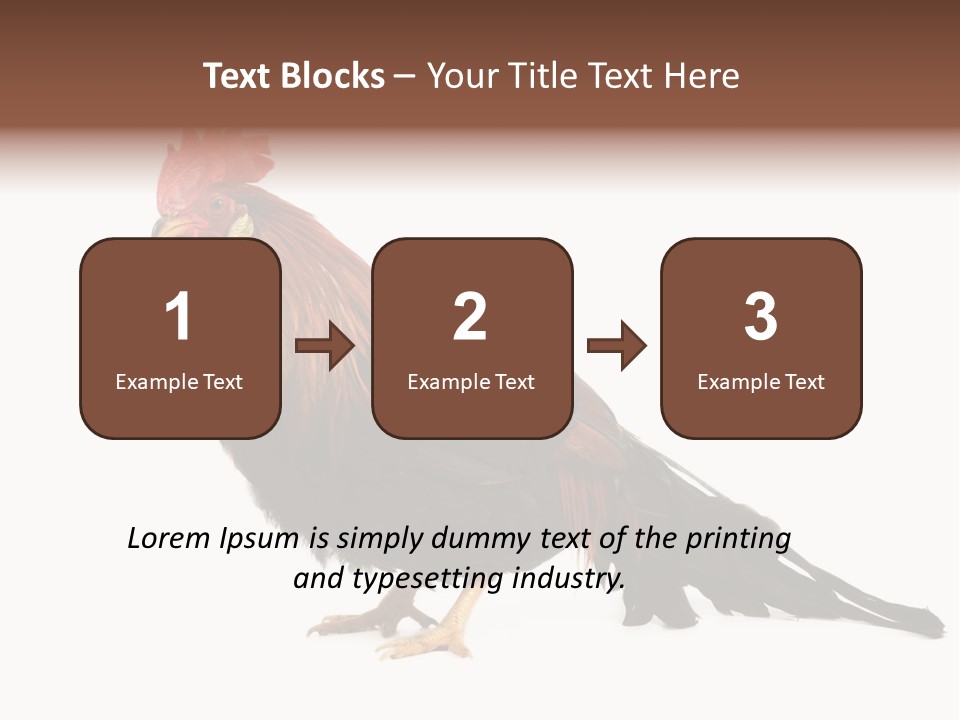 Italian Red Rooster Isolated On A White Background PowerPoint Template