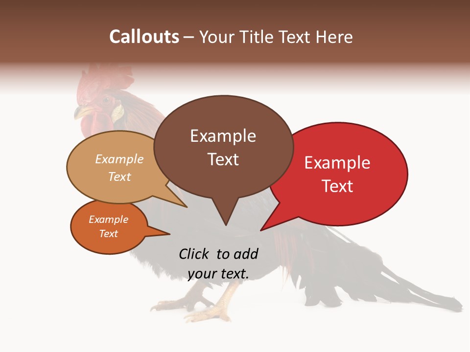 Italian Red Rooster Isolated On A White Background PowerPoint Template