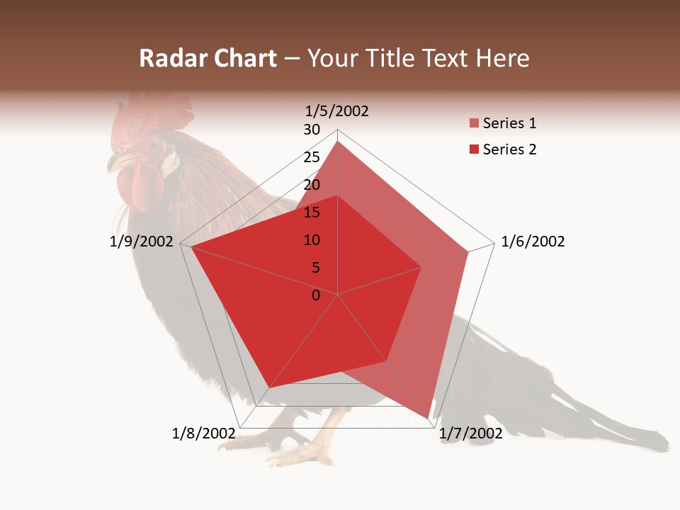 Italian Red Rooster Isolated On A White Background PowerPoint Template