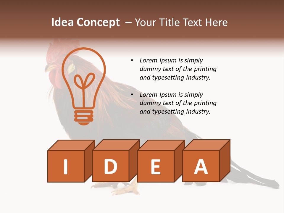 Italian Red Rooster Isolated On A White Background PowerPoint Template