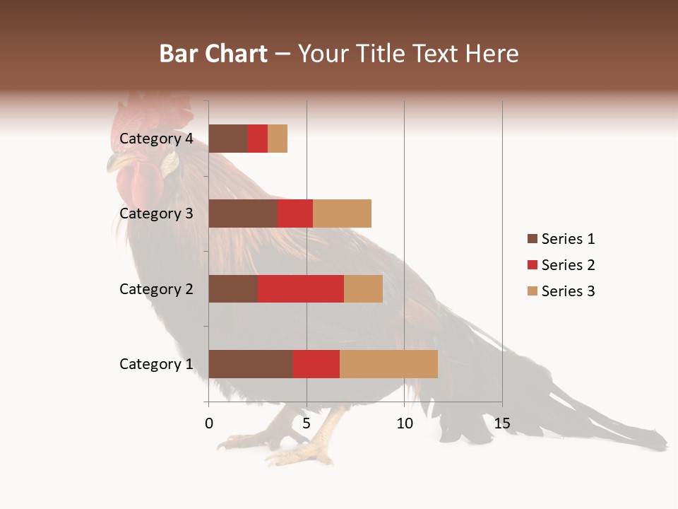 Italian Red Rooster Isolated On A White Background PowerPoint Template