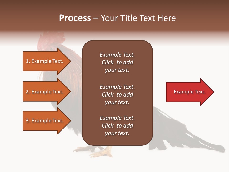 Italian Red Rooster Isolated On A White Background PowerPoint Template