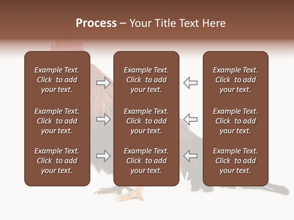 Italian Red Rooster Isolated On A White Background PowerPoint Template