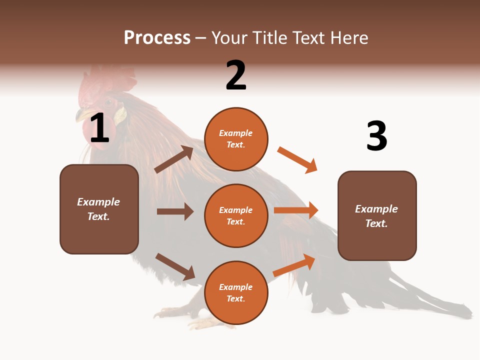 Italian Red Rooster Isolated On A White Background PowerPoint Template