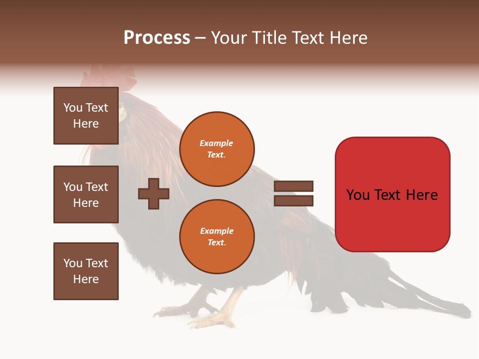 Italian Red Rooster Isolated On A White Background PowerPoint Template