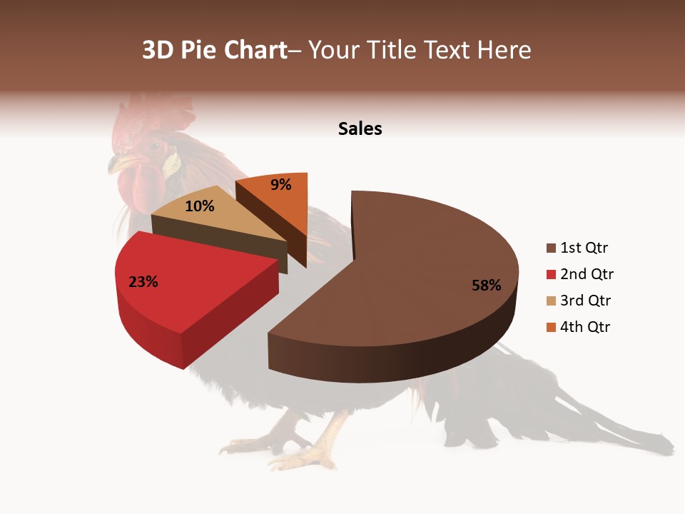 Italian Red Rooster Isolated On A White Background PowerPoint Template