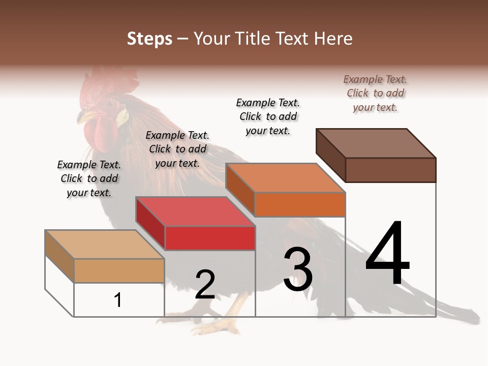 Italian Red Rooster Isolated On A White Background PowerPoint Template