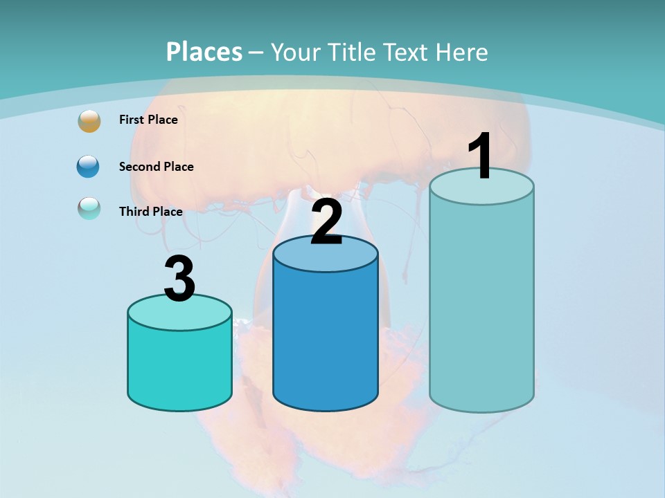 The Box Jellyfish PowerPoint Template
