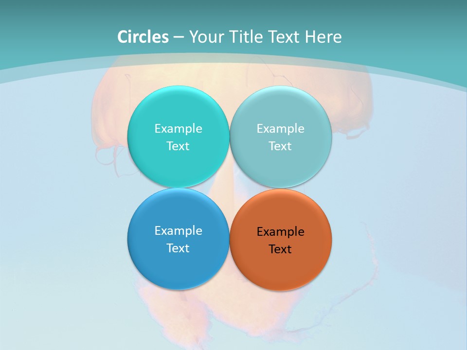 The Box Jellyfish PowerPoint Template