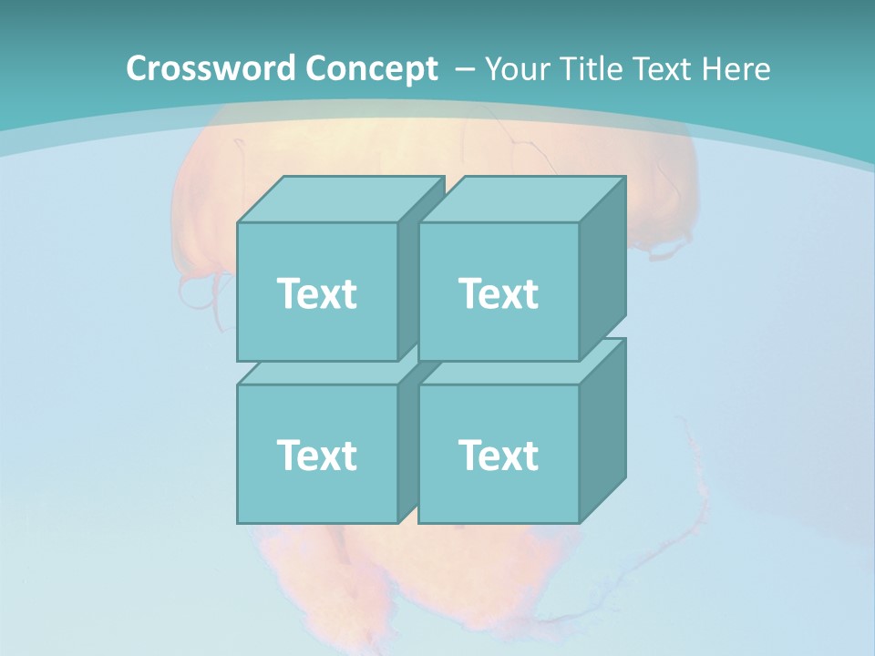 The Box Jellyfish PowerPoint Template