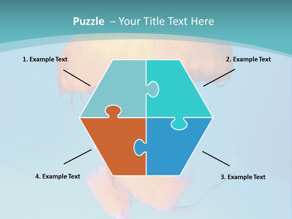The Box Jellyfish PowerPoint Template