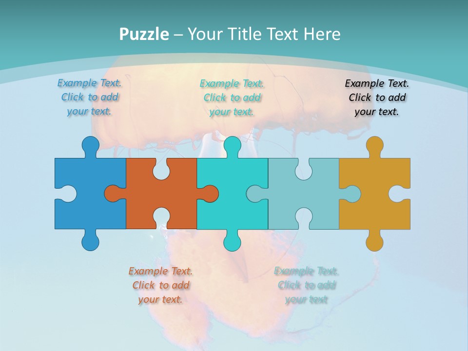 The Box Jellyfish PowerPoint Template