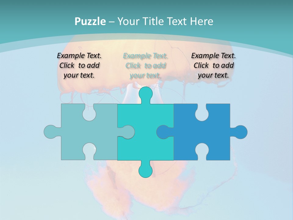 The Box Jellyfish PowerPoint Template