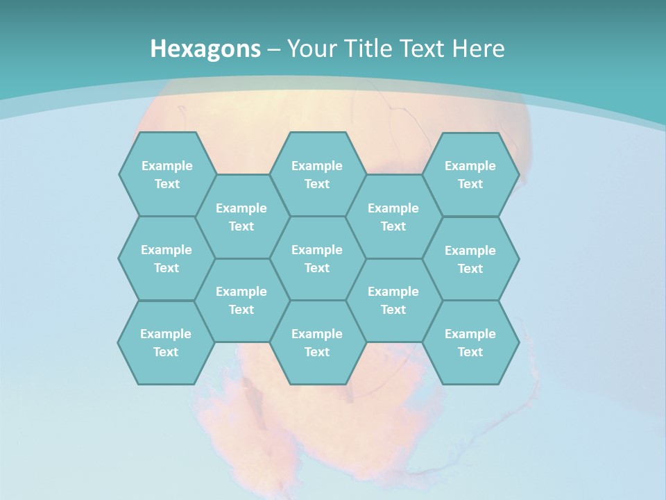 The Box Jellyfish PowerPoint Template