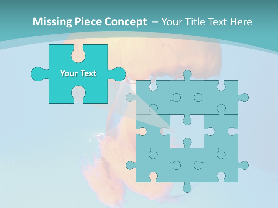 The Box Jellyfish PowerPoint Template