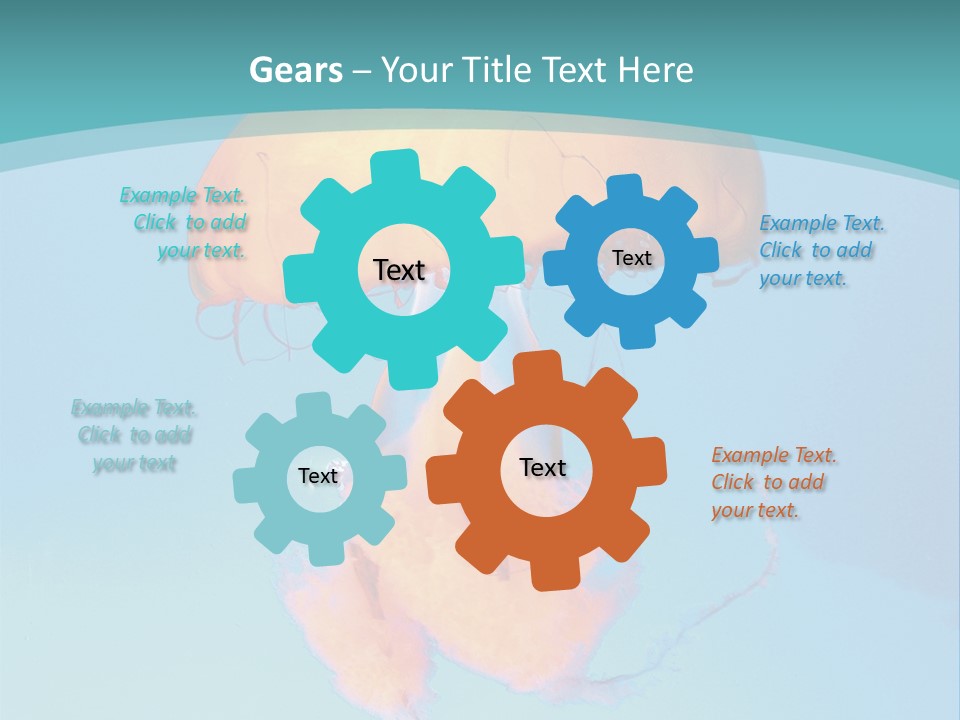 The Box Jellyfish PowerPoint Template