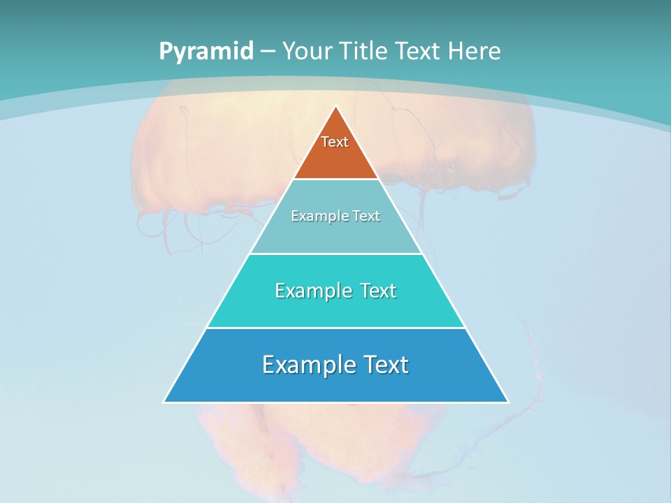 The Box Jellyfish PowerPoint Template
