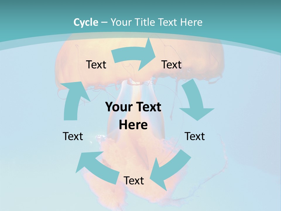 The Box Jellyfish PowerPoint Template
