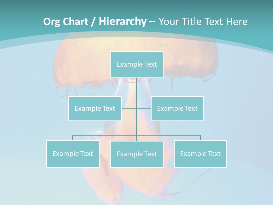 The Box Jellyfish PowerPoint Template