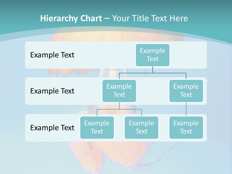 The Box Jellyfish PowerPoint Template