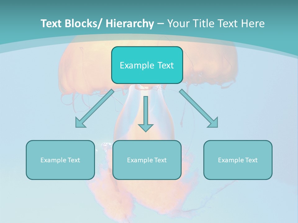 The Box Jellyfish PowerPoint Template