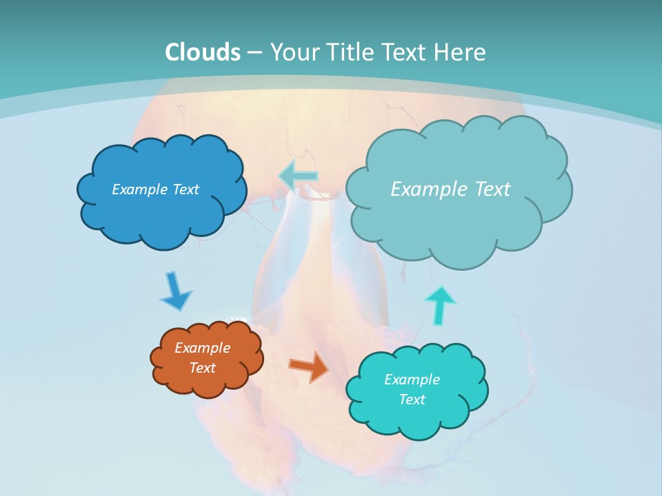 The Box Jellyfish PowerPoint Template