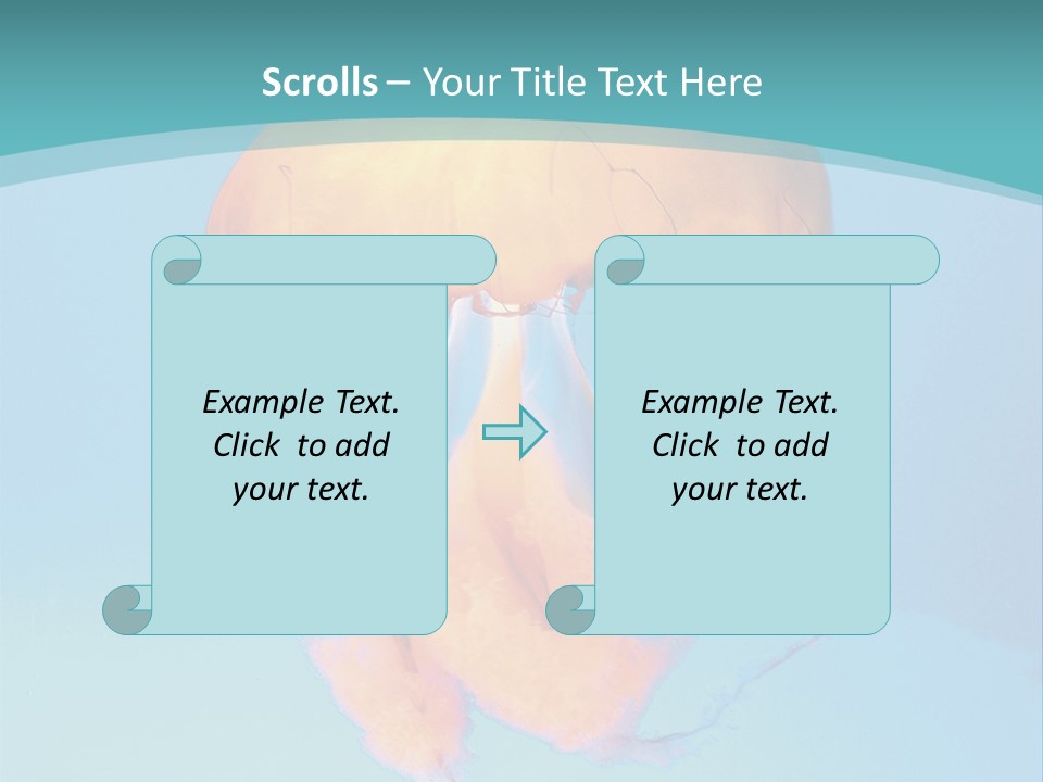 The Box Jellyfish PowerPoint Template