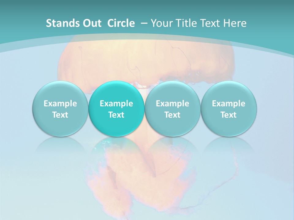 The Box Jellyfish PowerPoint Template