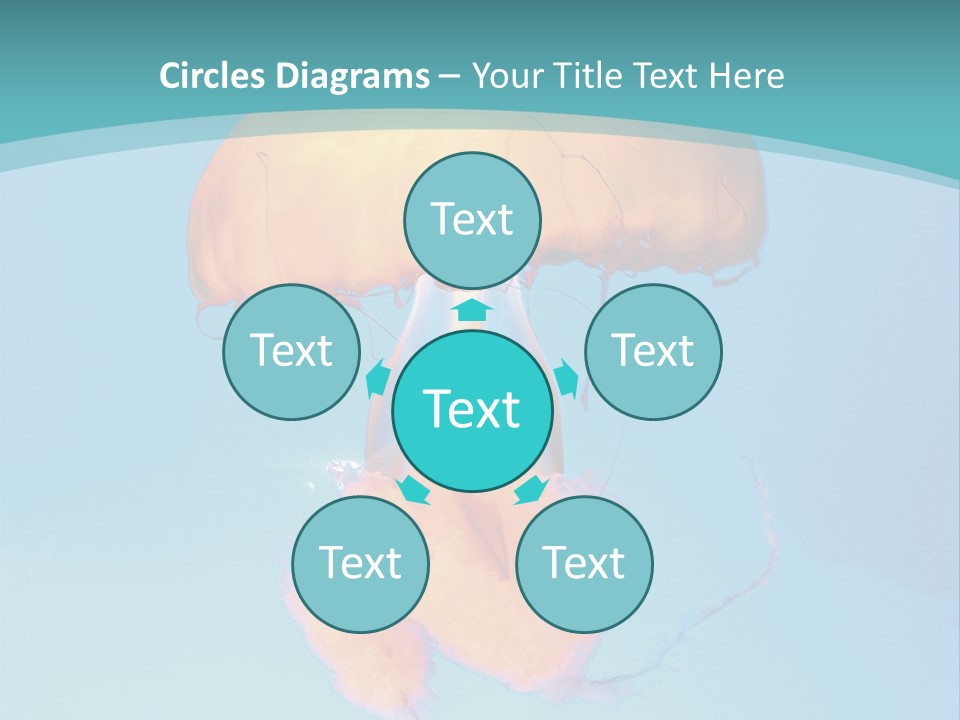 The Box Jellyfish PowerPoint Template