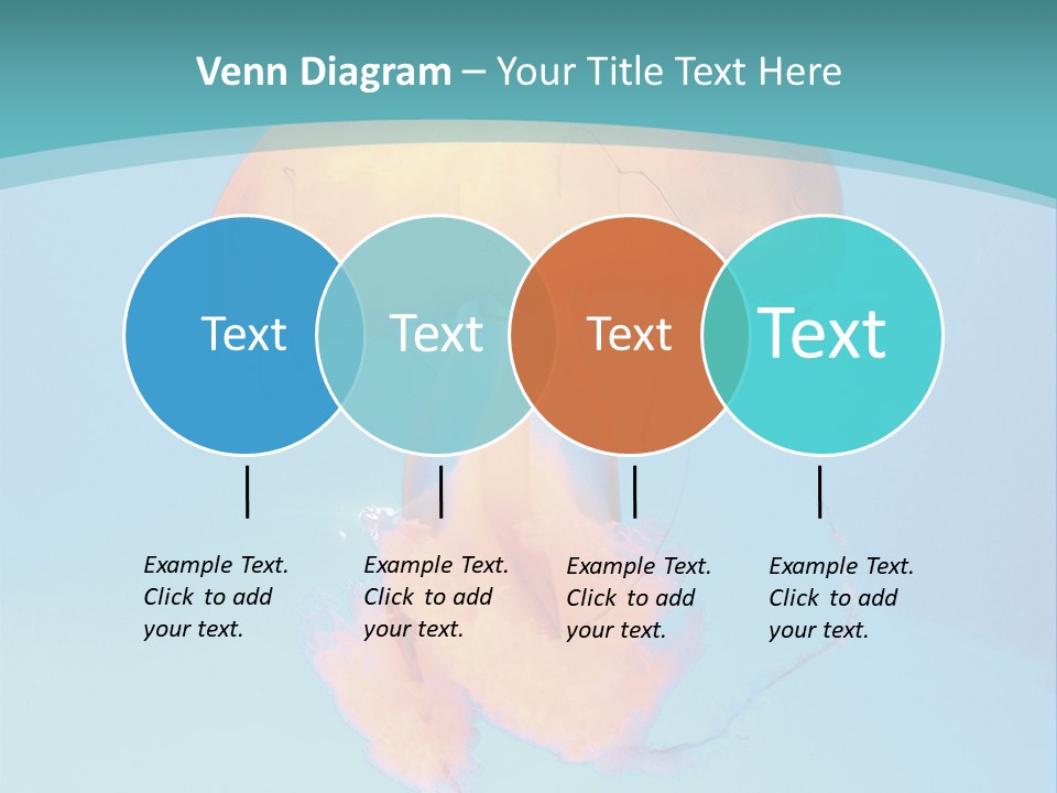 The Box Jellyfish PowerPoint Template