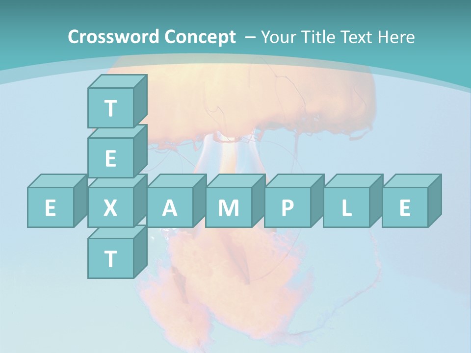 The Box Jellyfish PowerPoint Template