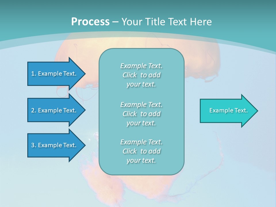 The Box Jellyfish PowerPoint Template
