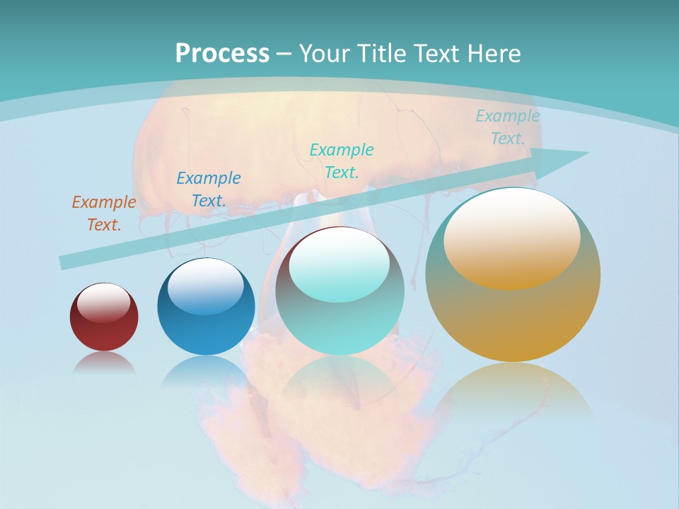 The Box Jellyfish PowerPoint Template