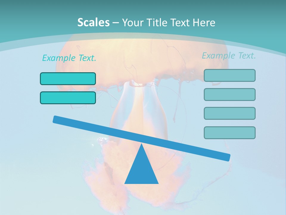 The Box Jellyfish PowerPoint Template