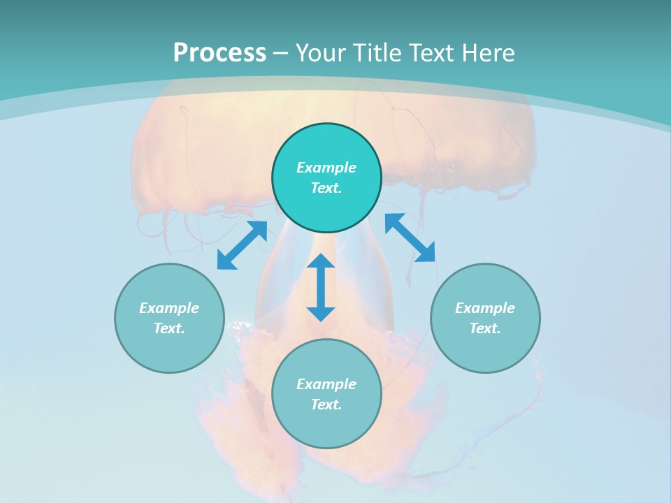 The Box Jellyfish PowerPoint Template