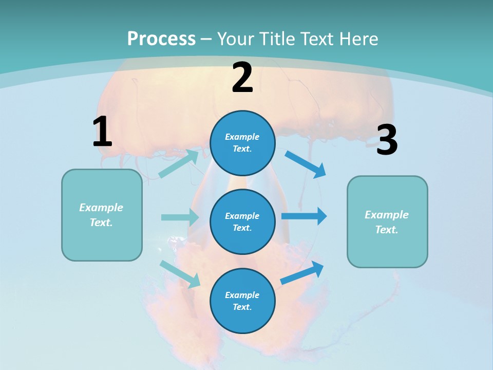 The Box Jellyfish PowerPoint Template