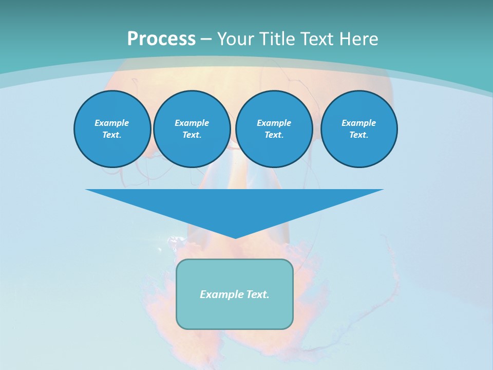 The Box Jellyfish PowerPoint Template