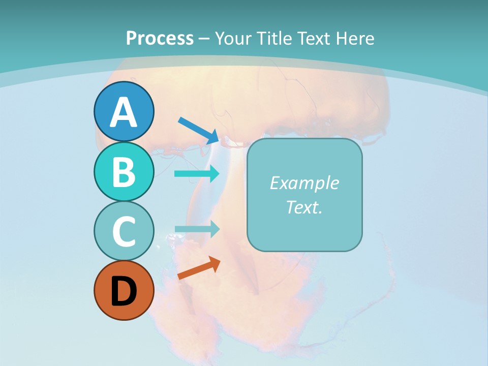 The Box Jellyfish PowerPoint Template