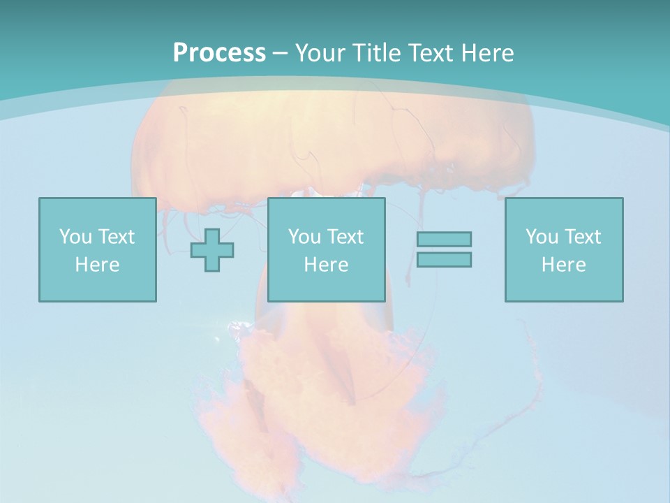 The Box Jellyfish PowerPoint Template