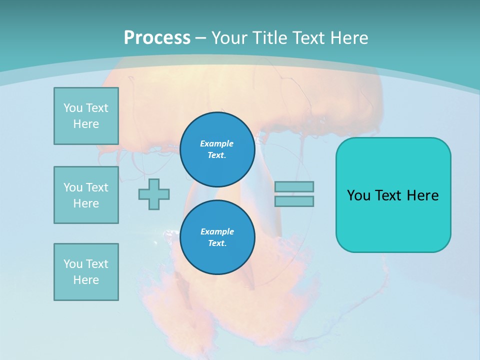 The Box Jellyfish PowerPoint Template